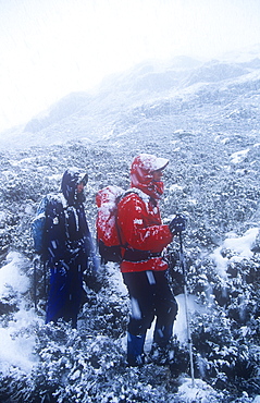 Women fell walkers in heavy snow on Quinag, Sutherland, Scottish Highlands, Scotland, United Kingdom, Europe