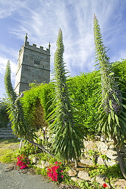 Zennor church, Zennor, Cornwall, England, United Kingdom, Europe