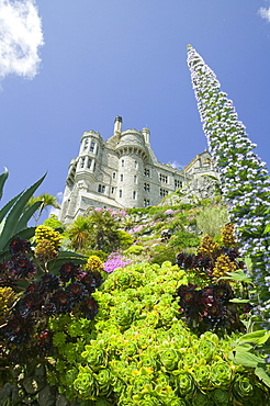 The gardens and the castle on St. Michaels Mount, Marazion, Cornwall, England, United Kingdom, Europe