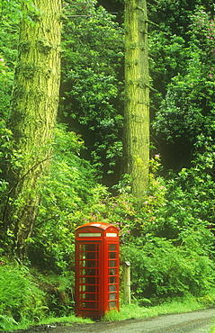 A phone box at Carsaig on the Isle of Mull, Scotland, United Kingdom, Europe