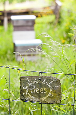 Beehives in Spring Mill Garden near Kendal, Cumbria,, United Kingdom