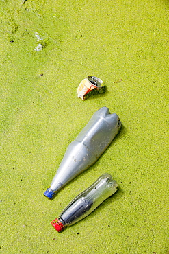 Rubbish thrown into a duckweed covered canal in Warrington, Lancashire, England, United Kingdom, Europe