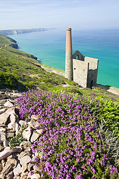 Towan Roath engine house at St. Agnes, Cornwall, England, United Kingdom, Europe