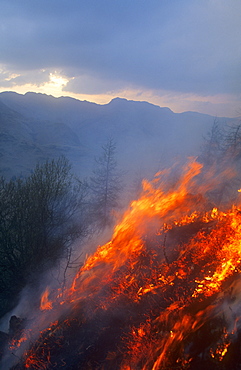 A moorland fire in the Lake District, Cumbria, England, United Kingdom, Europe