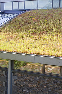 A green roof on Lakeland's flag ship store in Windermere, Cumbria, England, United Kingdom, Europe