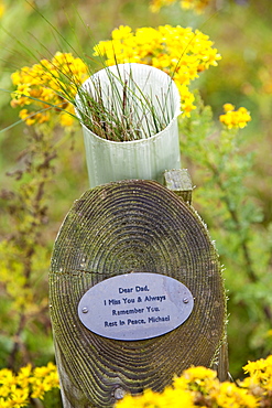 Plaque with information about the person who requested the offset by planting a tree, Sand Martin Wood in Faugh near Carlisle, Cumbria, England, United Kingdom, Europe