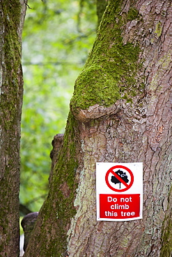 A sign on a tree in a pub garden in Buckden, Yorkshire, England, United Kingdom, Europe