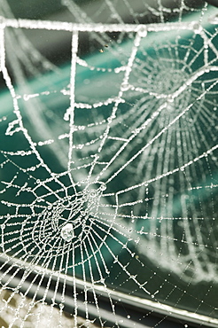 A frozen spiders web on a car wing mirror, United Kingdom, Europe