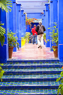 The Marjorelle Gardens in Marrakech, Morocco, North Africa, Africa