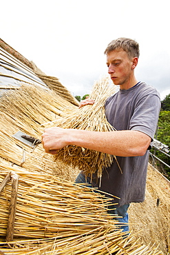 An old barn being re-thatched in the Dorset village of Symondsbury, Dorset, England, United Kingdom, Europe