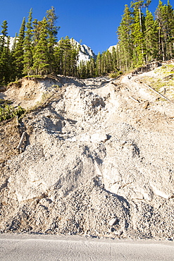 Damage from landslides caused by torrential rain near Maligne Lake, Jasper National Park, UNESCO World Heritage Site, Alberta, Canadian Rockies, Canada, North America