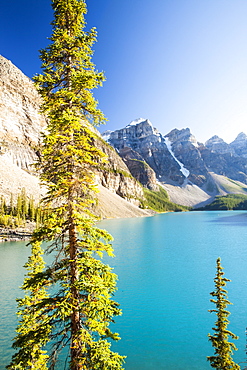 Moraine Lake, Banff National Park, UNESCO World Heritage Site, Alberta, Canadian Rockies, Canada, North America