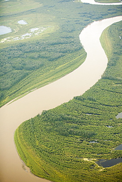 Boreal forest in Northern Alberta near Fort McMurray, Alberta, Canada, North America