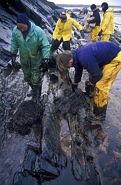 Oil clean up, West Angle Bay, Sea Empress oil spill