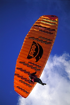 Parapenting, Newgale, Pembrokeshire, Wales, UK, Europe