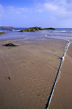 Monofilament gill net on Marloes Sands, Pembrokeshire, Wales, UK, Europe     (rr)