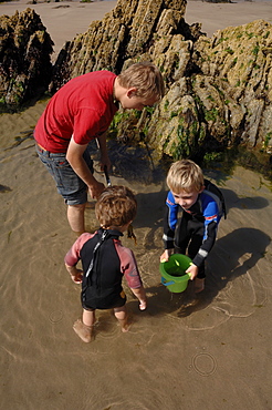 Rockpooling, Marloes Sands, Pembrokeshire, Wales, UK