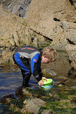 Rockpooling, Marloes Sands, Pembrokeshire, Wales, UK