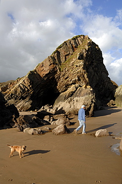 Man walking dog on Monkston Beach, Pembrokeshire, Wales, UK, Europe