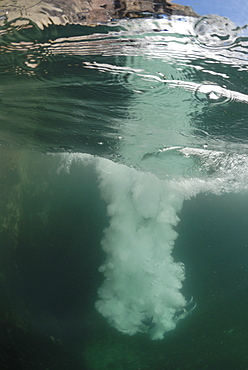 Coasteering, St. Non's Bay, Pembrokeshire, Wales, UK, Europe     (rr)