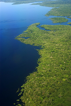 Aerial view of flooded tropical rain forest, Amazonas, Brazil, South America