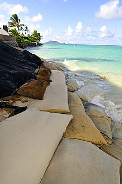 Sand bags placed by local residents of Lanikai, in an attempt to mitigate erosion affecting this East Oahu beach, Oahu, Hawaii, United States of America, Pacific