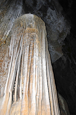 Pillar, geological calcareous formation on the wall of Anhumas Abyss, Bonito, Mato Grosso do Sul, Brazil, South America