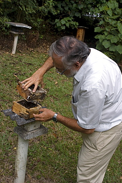 Bee hive being opened by university professor, Vicosa, Minas Gerais, Brazil, South America