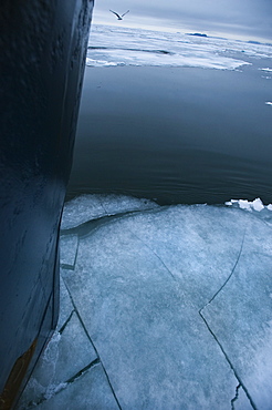 Front of boat cutting through ice sheets. Longyearbyen, Svalbard, Norway