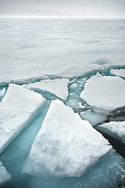 Arctic Ice Sheets. Longyearbyen,  Nordaustlandet, South Severn Is, Svalbard, Norway