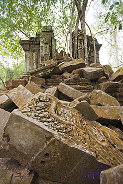 Ta Prohm Temple, Angkor, UNESCO World Heritage Site, Siem Reap, Cambodia, Indochina, Southeast Asia, Asia