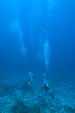 Scuba divers underwater, Thailand, Andaman Sea, Indian Ocean, Asia