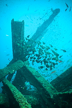 Wreck diving, Southern Thailand, Andaman Sea, Indian Ocean, Southeast Asia, Asia