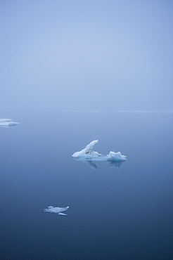 Fragmented Ice. Longyearbyen, Far Northern Ice Sheets, Svalbard, Norway