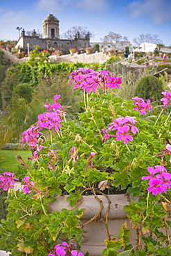 Spain, España, Canary Islands, Canarias, Tenerife, La Orotava, Jardines del Marquesado de la Quinta Roja. Santa Cruz, La Orotava (world heritage site), Tenerife Island. Canary Islands