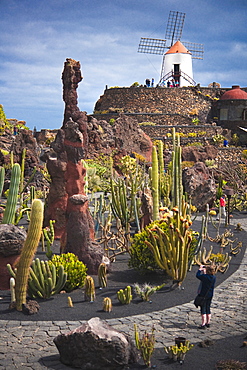 Jardin de Cactus (Cactus Garden) created by CÃ©sar Manrique. Arrecife, Jardin De Cactus, Cactus Garden, Lanzarote. Canary Islands