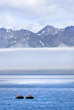 Zodiacs with mountains in the background. Petropavlovsk, Kamchatka, Russia