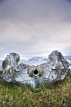 Whalebone Alley, Bowhead whale bone, Itygran Island (Bering Sea) Russia, Asia.  MORE INFO: Whale Bone Alley was discovered by Soviet archaeologists in 1976, but has remained untouched since and little is known of this place. There is a long double line of bowhead whale bones -- jaws and ribs -- running parallel along the shore for hundreds of yards. Many of the bones, especially the enormous jaw bones, are still standing, propped up by lichen-covered rocks. The location is thought to have been used in about 1300 as a ceremonial site, for a men's secret society or feasting site.