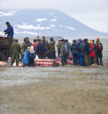 Inuit Settlement with locals cutting large slabs of whale meat from a freshly caught Grey whale, Lorino Village (Chukotskiy Peninsular) Russia, Asia.