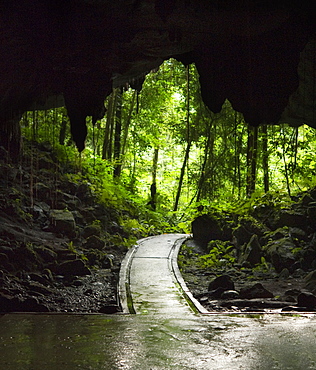 Langs Cave.  Mulu National Park, Sarawak, Borneo, Malaysia, Asia