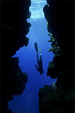 Sara Campbell world Champion freediver running freediving courses in Dahab. Egypt.