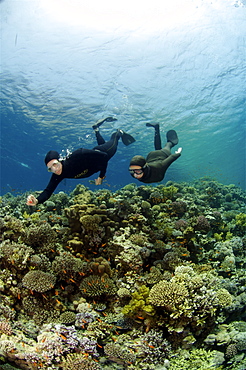 Sara Campbell world Champion freediver running freediving courses in Dahab. Egypt.