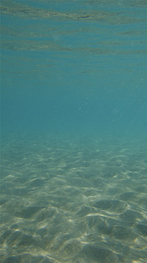 blue water in shallow sandy seabed