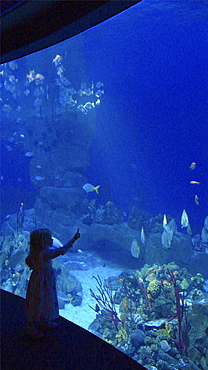 Families enjoying a day out at the aquarium in Plymouth Devon . UK   (rr)