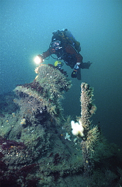 Diving british ship wrecks in the English Channel