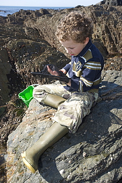 & year old boy rockpooling in Devon. UK