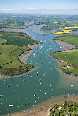 Kingsbridge Estuary, Devon, England, United Kingdom, Europe 