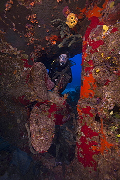 Wreck diving on the Hamel Wreck in the Bahamas, West Indies, Central America