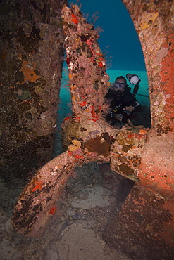 Wreck diving on the Hamel Wreck in Bahamas, West Indies, Central America