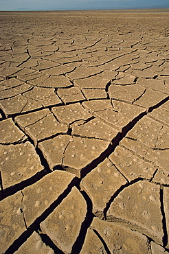 Atacama Desert, Chile, South America